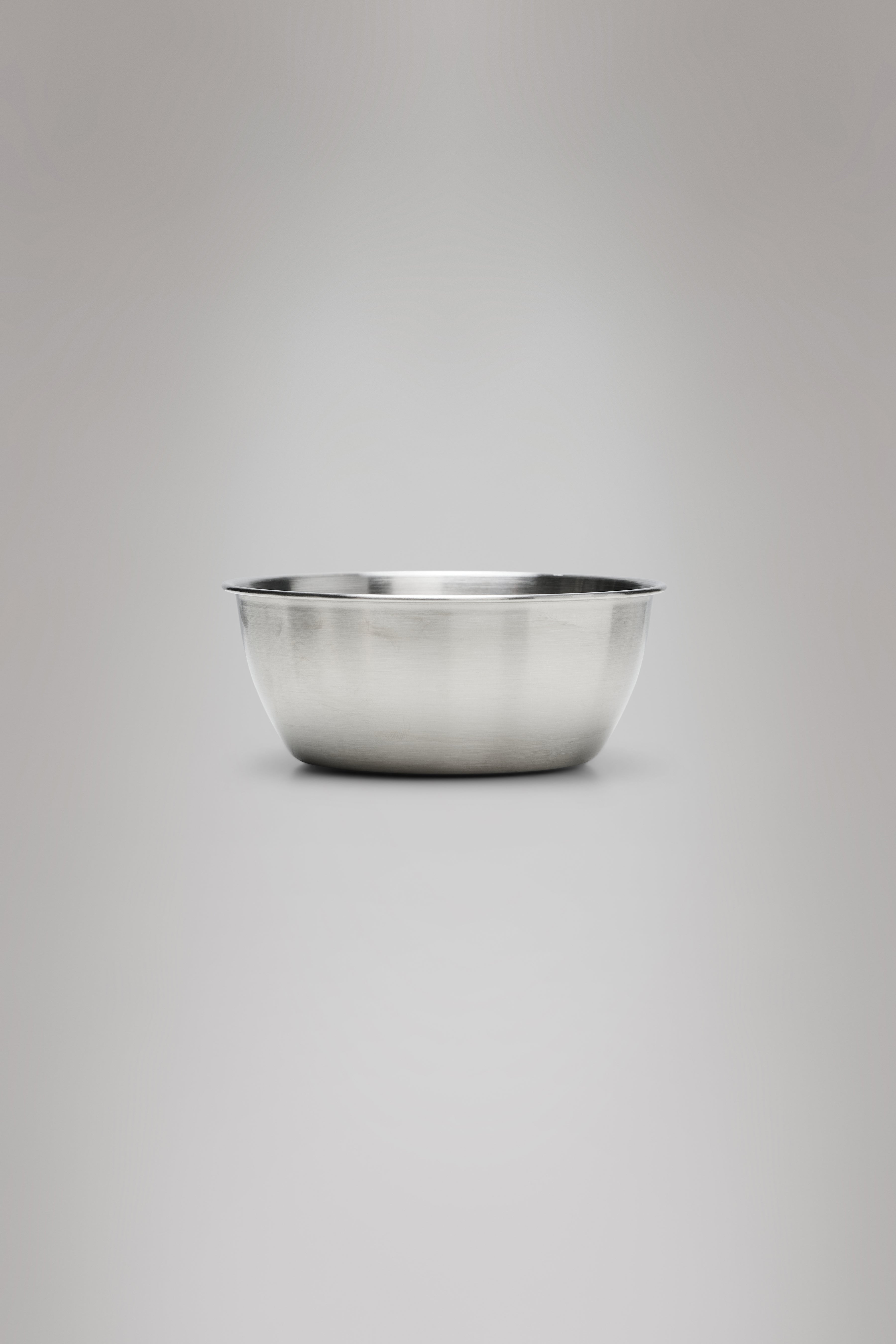 RAINS Stainless Steel 2-Pack Bowls Steel Food Storage